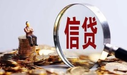 东莞12个人小额贷款-东莞12私借户不考察-东莞12民间借贷无抵押