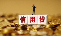东莞12哪有个人借贷-东莞12小额贷款公司-东莞12私借空放免费上门