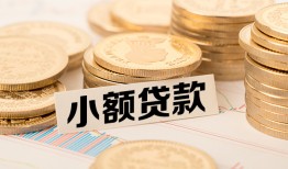 东莞12身份证贷款平台-东莞12私人借贷不查征信-东莞12空放借钱